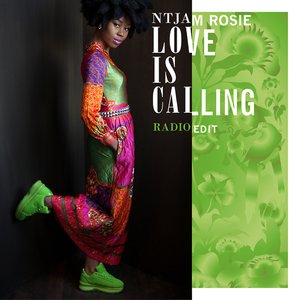 Love Is Calling (Radio Edit) - Single