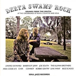 “Delta Swamp Rock”的封面