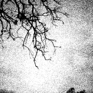 Sleepwalkers Woman