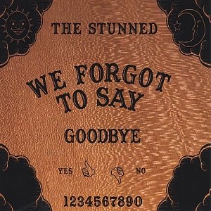 We Forgot To Say Goodbye
