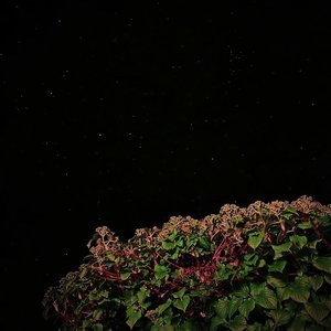 Tape_01