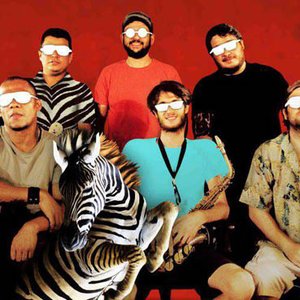 Zebrabeat Afro-Amazonia Orquestra 的头像