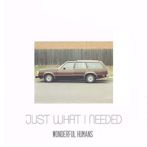 Just What I Needed - Single