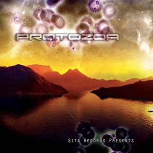 Protozoa