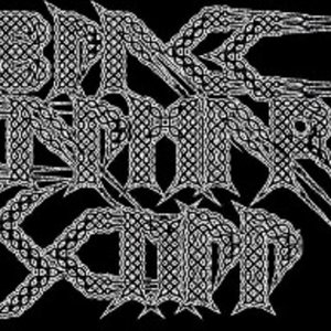Avatar for Black Kalmar Skull