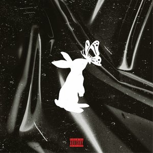 ButterFly Rabbit