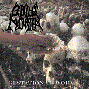 Gestation Of Worms