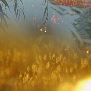 The Sun or the Rain - Single