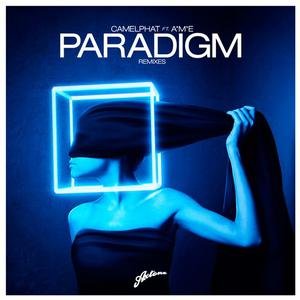 Paradigm (Remixes)