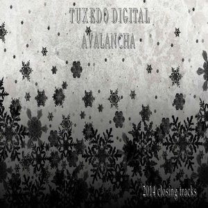 Tuxedo Digital Avalancha (2014 Closing Tracks)