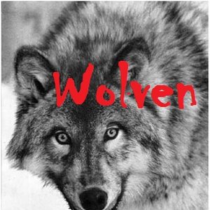 WolveN 的头像