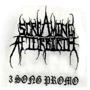 Promo 2003