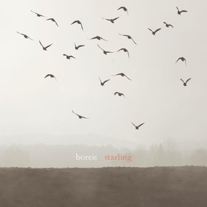 Starling