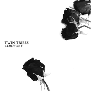 Twin Tribes - Heart & Feather - Zortam Music