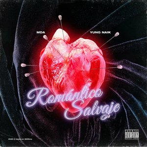 Romántico Salvaje