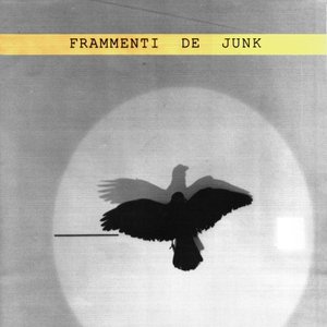 Frammenti De Junk