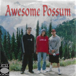 Awesome Possum