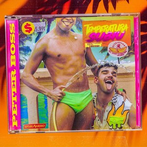 Temperatura Subiu - Single