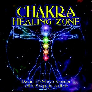 Chakra Healing Zone