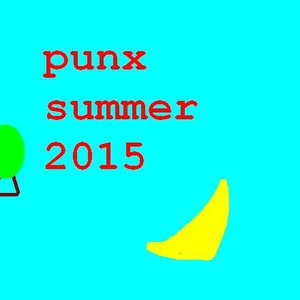 punX summer 2015