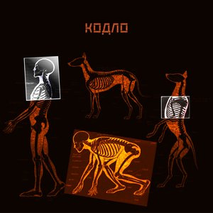 Дикий собака - Single