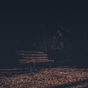 Park Bench Sitting