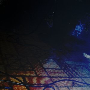 Desensitized Youth 的头像
