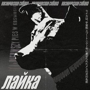 Łajka - Single