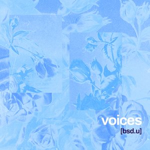 voices - Single