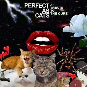 Perfect As Cats: a tribute to The Cure