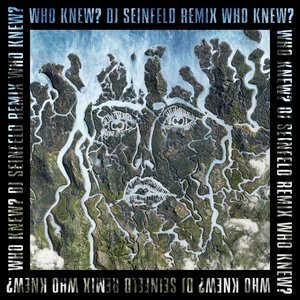 Who Knew? (DJ Seinfeld Remix) - Single