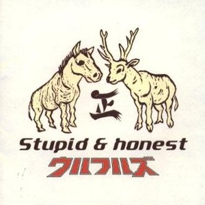 Stupid & Honest