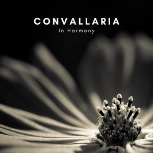 In Harmony
