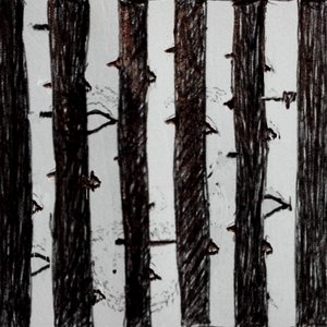 the woods
