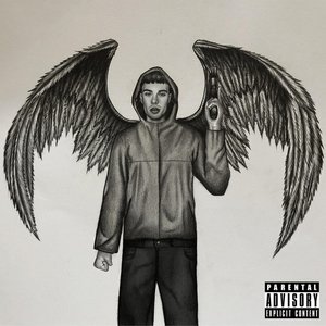 The Dark Knight Album