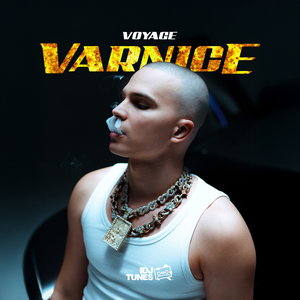 Artwork for Varnice