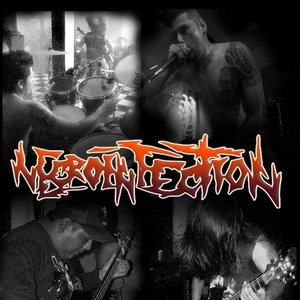 Necroinfection 的头像