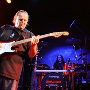 Walter Trout Power Trio 的头像