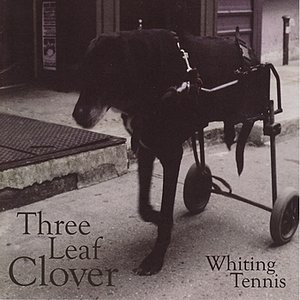 Three Leaf Clover