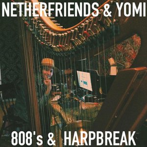 Album artwork for DMT And Whiskey by Netherfriends