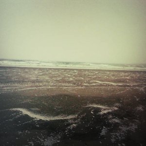 Denton Winter Demos