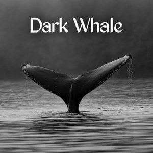 Dark Whale