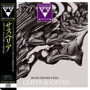 BLVCK CEILING & △Sco△ 的头像