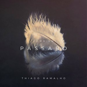 Como Um Pássaro
