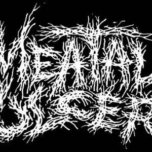 Avatar for Meatal Ulcer