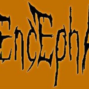 Bild für 'Exencephaly'