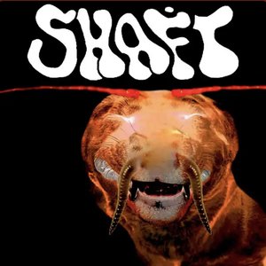 just the shaft... [Explicit]