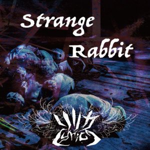 Strange Rabbit - Single