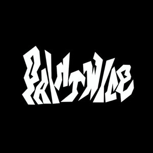 paintwice. 的头像