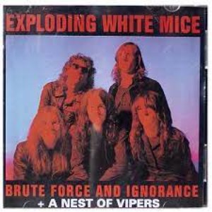 Brute Force And Ignorance + A Nest of Vipers